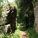Gold *