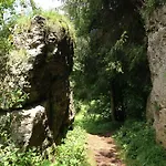 Camping Gold *